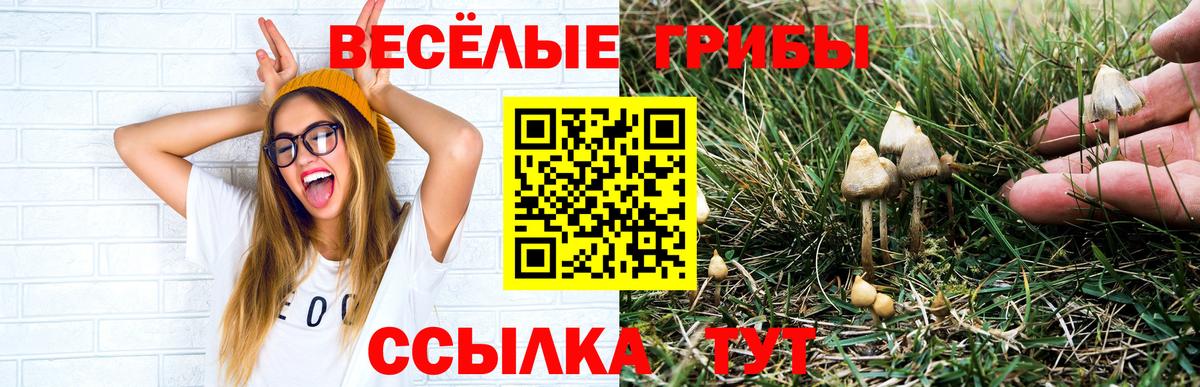 Псилоцибиновые грибы Magic Shrooms  Вход с VPN  Моздок 