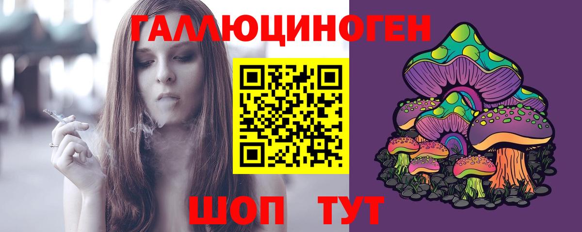 Галлюциногенные грибы Psilocybine cubensis Моздок